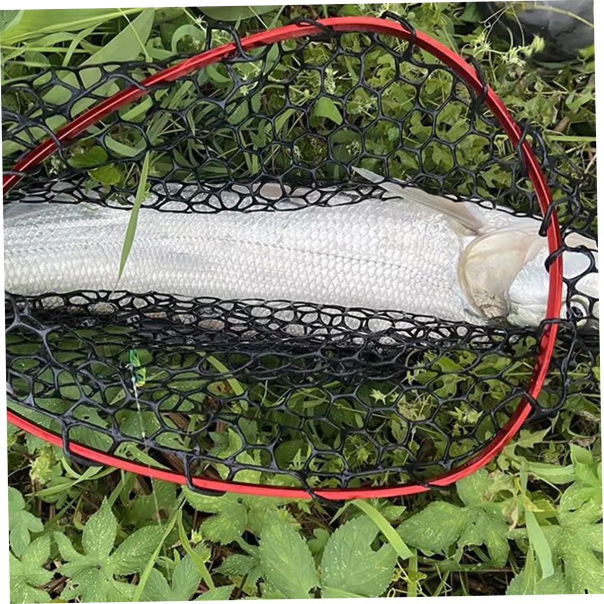 48 Rete da pesca in silicone pieghevole telescopica, guadino in alluminio con manico EVA