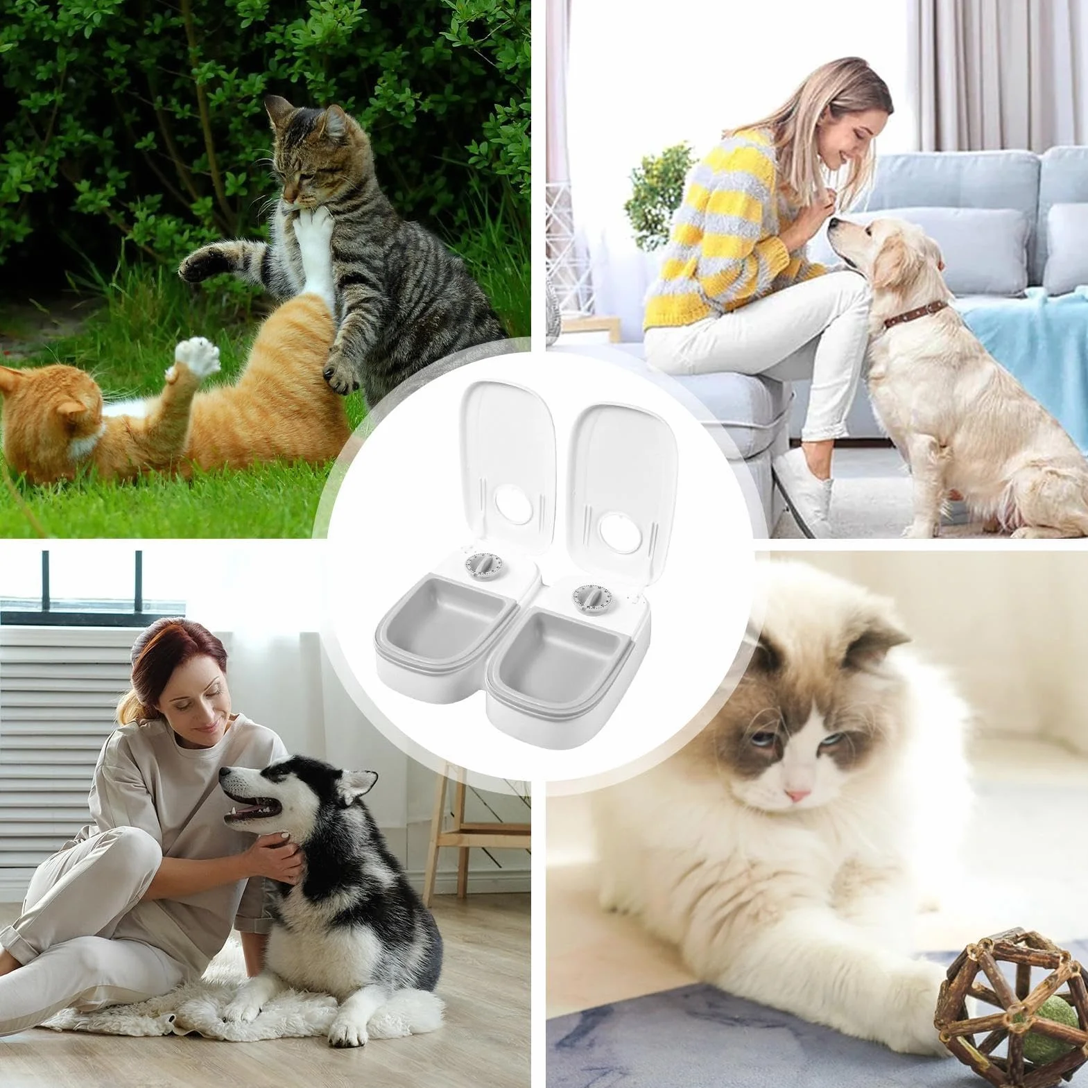 Ciotole per animali domestici, Distributore automatico di cibo for gatti - Contenitore for for cani for e, secco umido