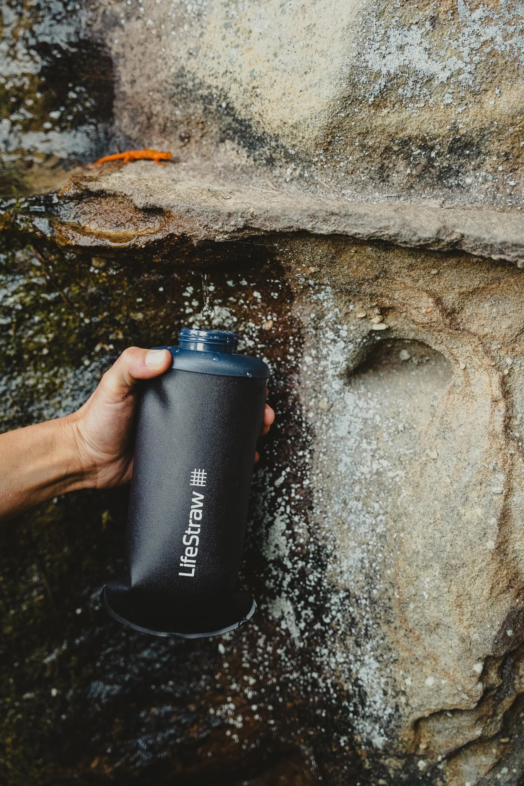 LifeStraw Peak Series - Borraccia pieghevole con sistema di filtraggio dell'acqua – 650ml per trail running, hiking, viaggi, ciclismo, e pesca. Senza BPA, Dark Mountain Gray (grigio)