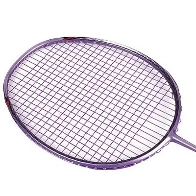 Badminton Set Racchette da Badminton Professionali in Carbonio, Racchetta Super Leggera 5U con Corde in Fibra di