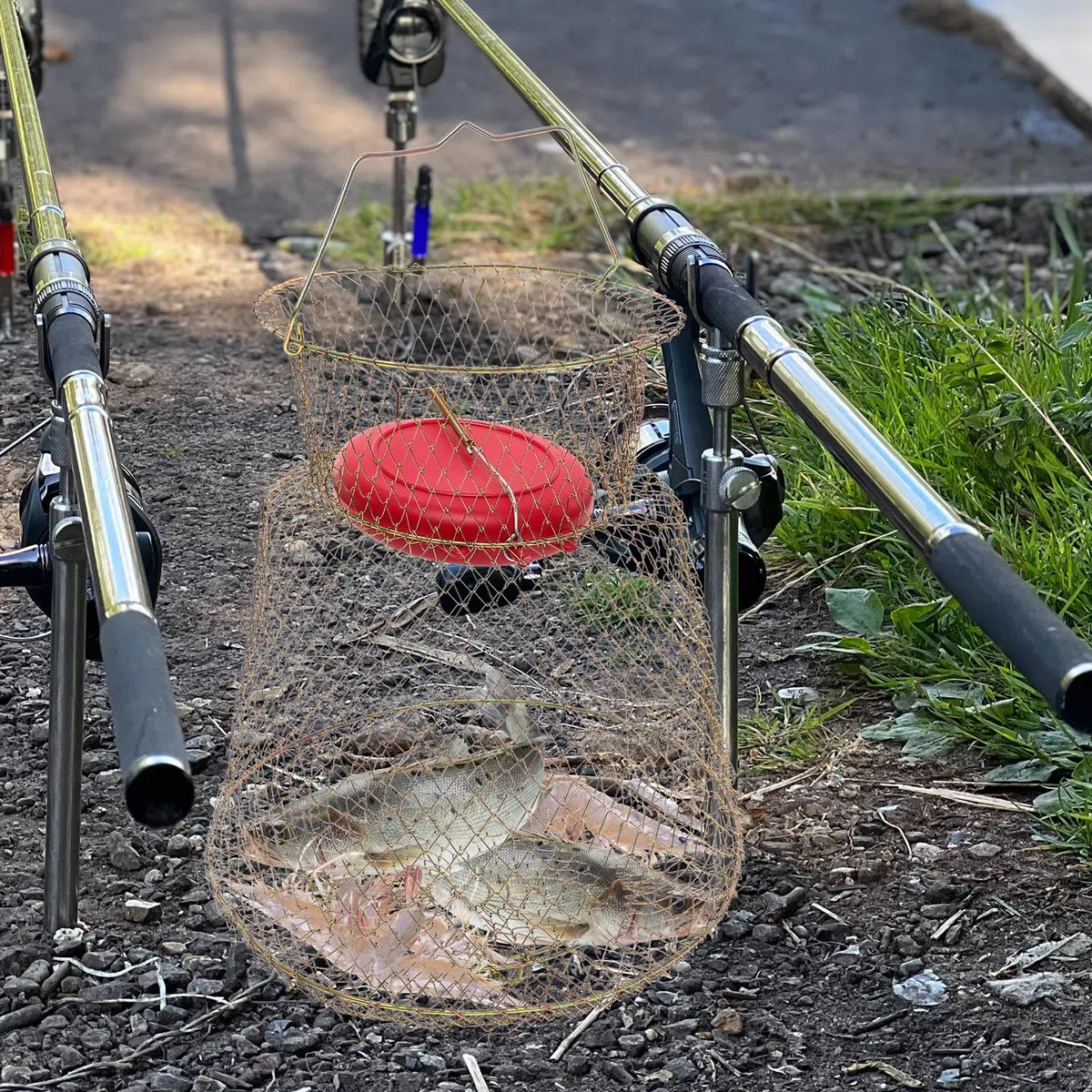 Cestino per Pesca in Ferro con Ciotola Galleggiante, Facile da Trasportare e Utilizzare, Trappola per Pesci Resistente e Accessorio Indispensabile la Pesca