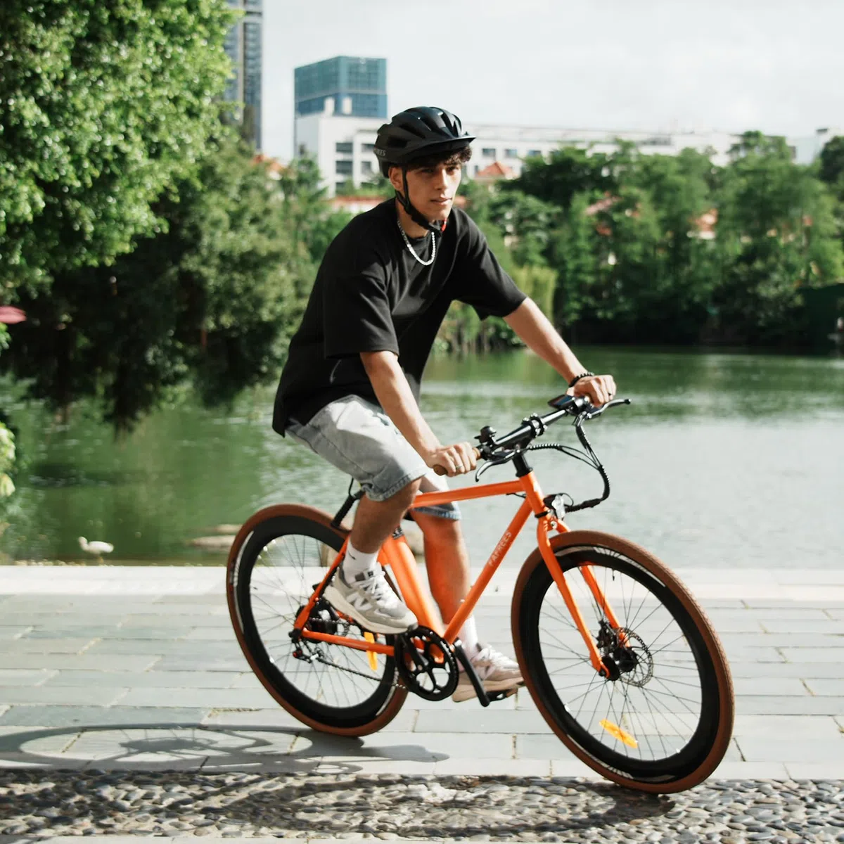 Fafrees F1 Bicicletta elettrica, 700C*38C Bici elettrica da strada, Motore 250W, Battteria 36V 10Ah, Bicicletta elettrica urbana Unisex Adulto, Potenza assistita: 40-60KM