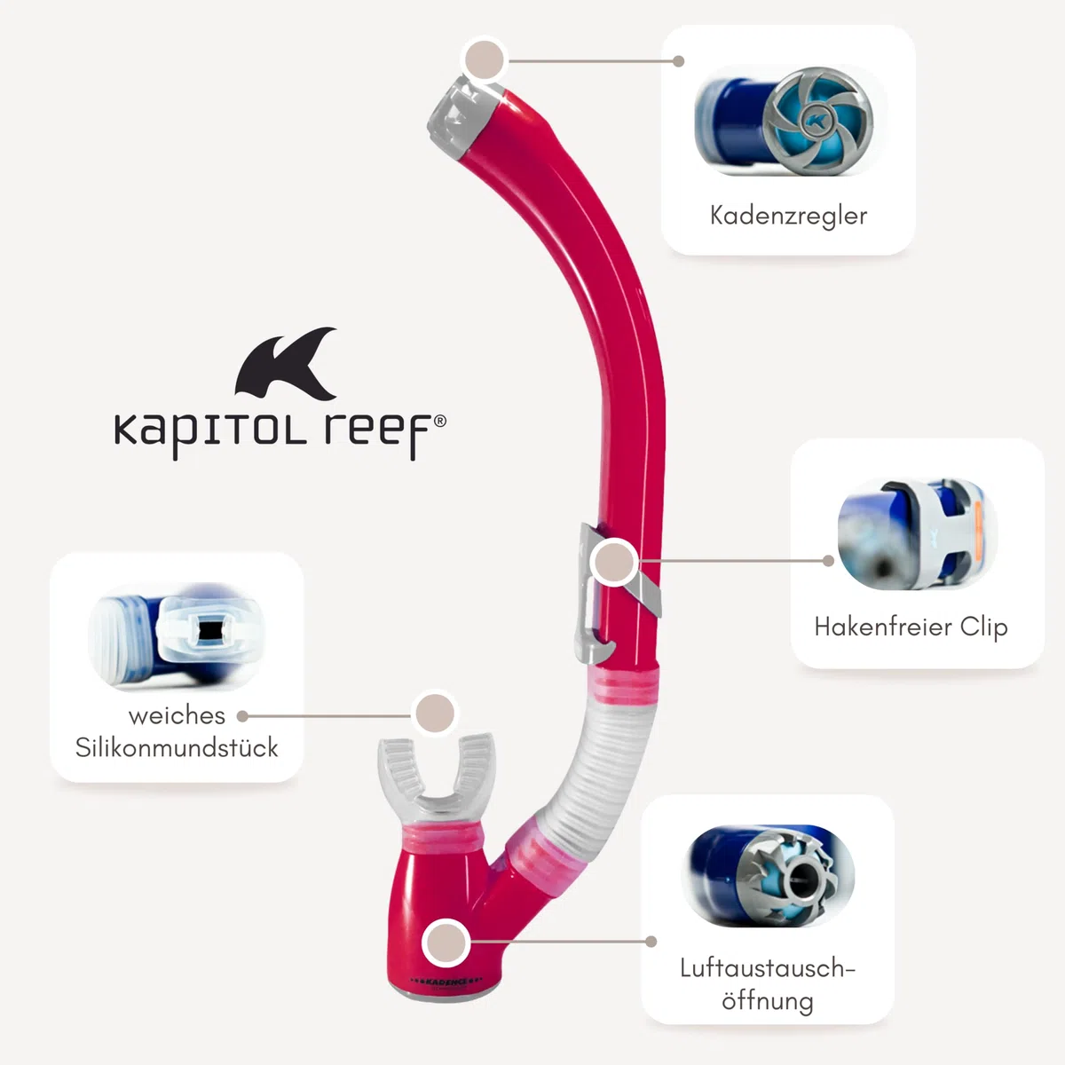 Kapitol Reef 09001 - Boccaglio