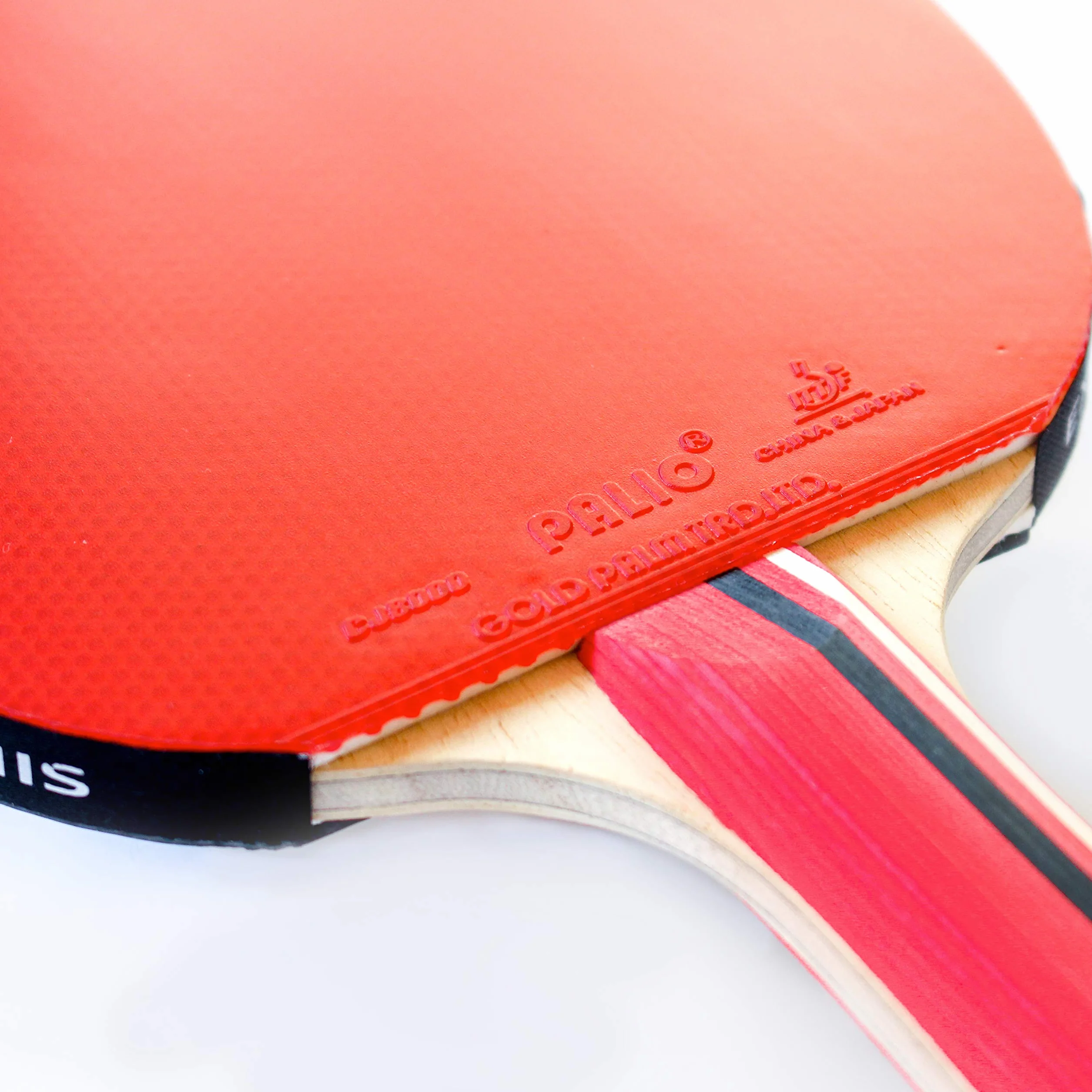 Palio Master 3.0 - Racchetta da ping pong con custodia, approvata dall'ITTF, velocità allround, rotazione e controllo