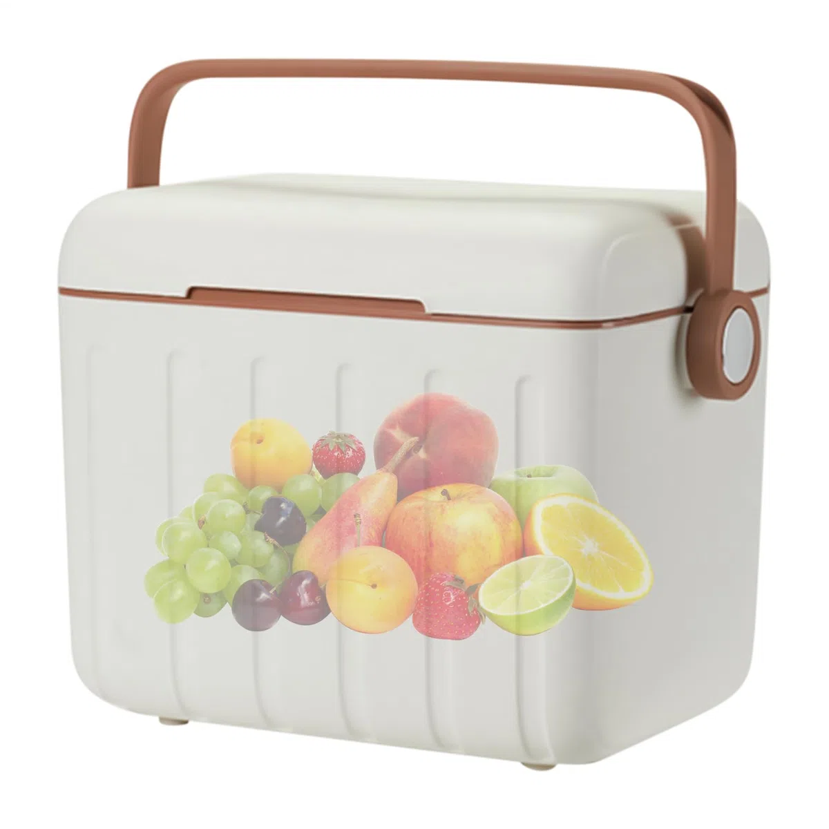 Cooler da Campeggio Scatola Frigo Latte Da 6 Litri | Piccola Scatola Isolante Per Freddo Per Campeggiatori Picnic Spiaggia Viaggio Vacanza Barbecue Eventi Sportivi Festival