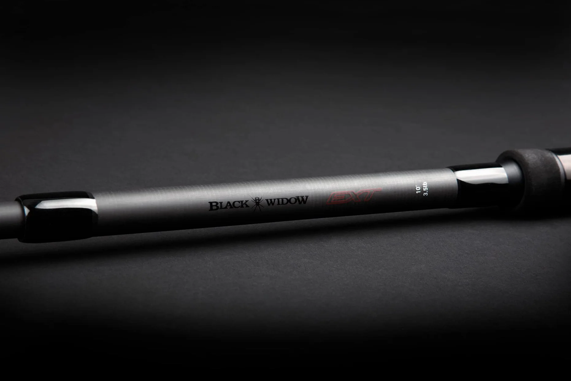 Daiwa Black Widow - Canna da pesca alla carpa, 2 pezzi