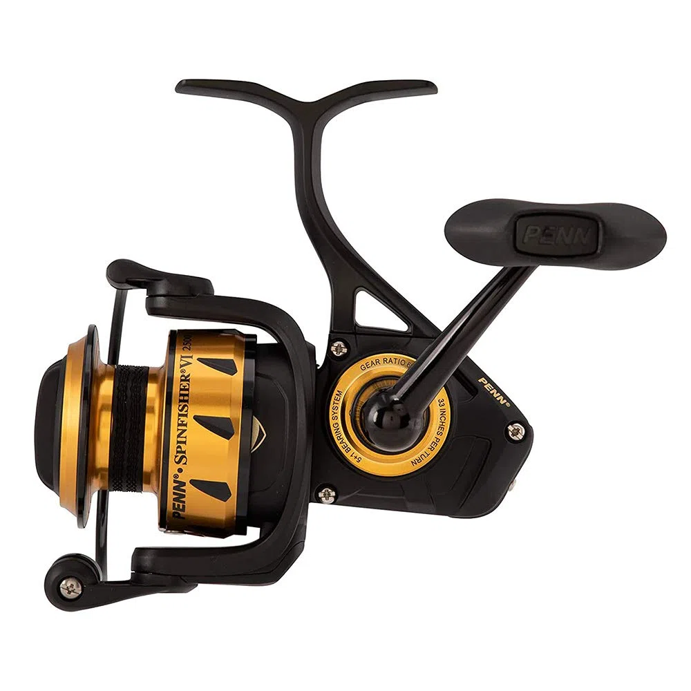 Penn Spinfisher V & VI Spinning Mulinello
