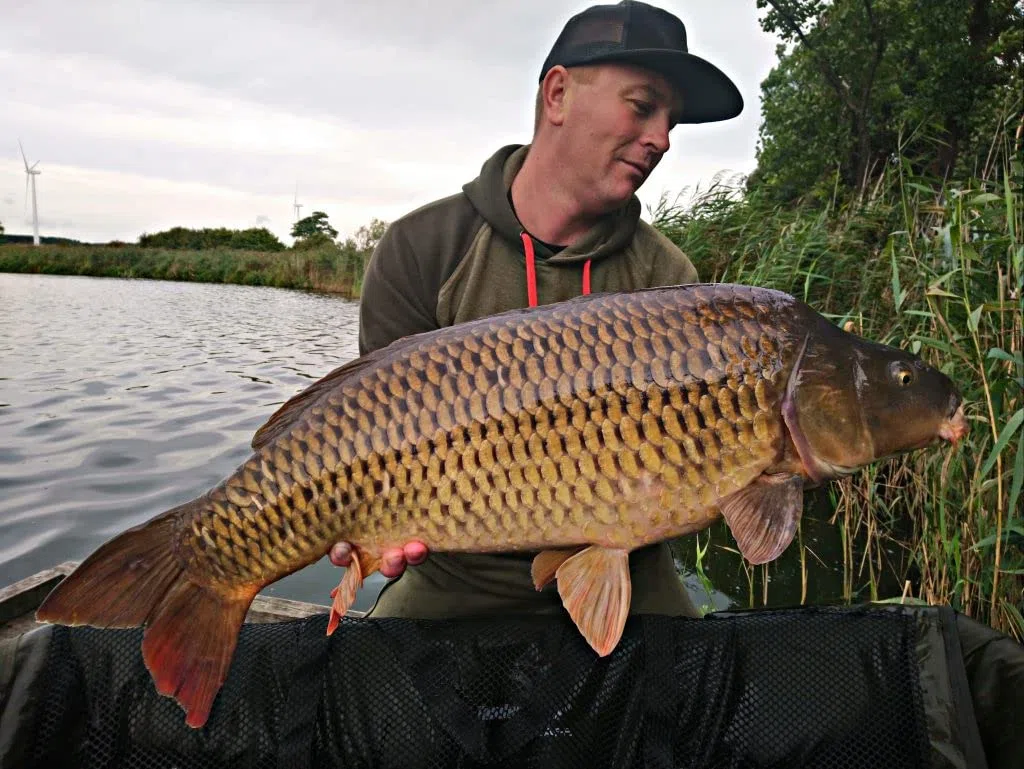 Tandem Baits Set di 8 Carp Pop Up Boilies Fishing Box XL | Fluo Pop Up 16mm | Perfection Pop Up 16mm | Mini Pop Up 12mm | Fluo Mini Pop Up 12mm | Carpfishing Pesche Pesca Accessori Set Up