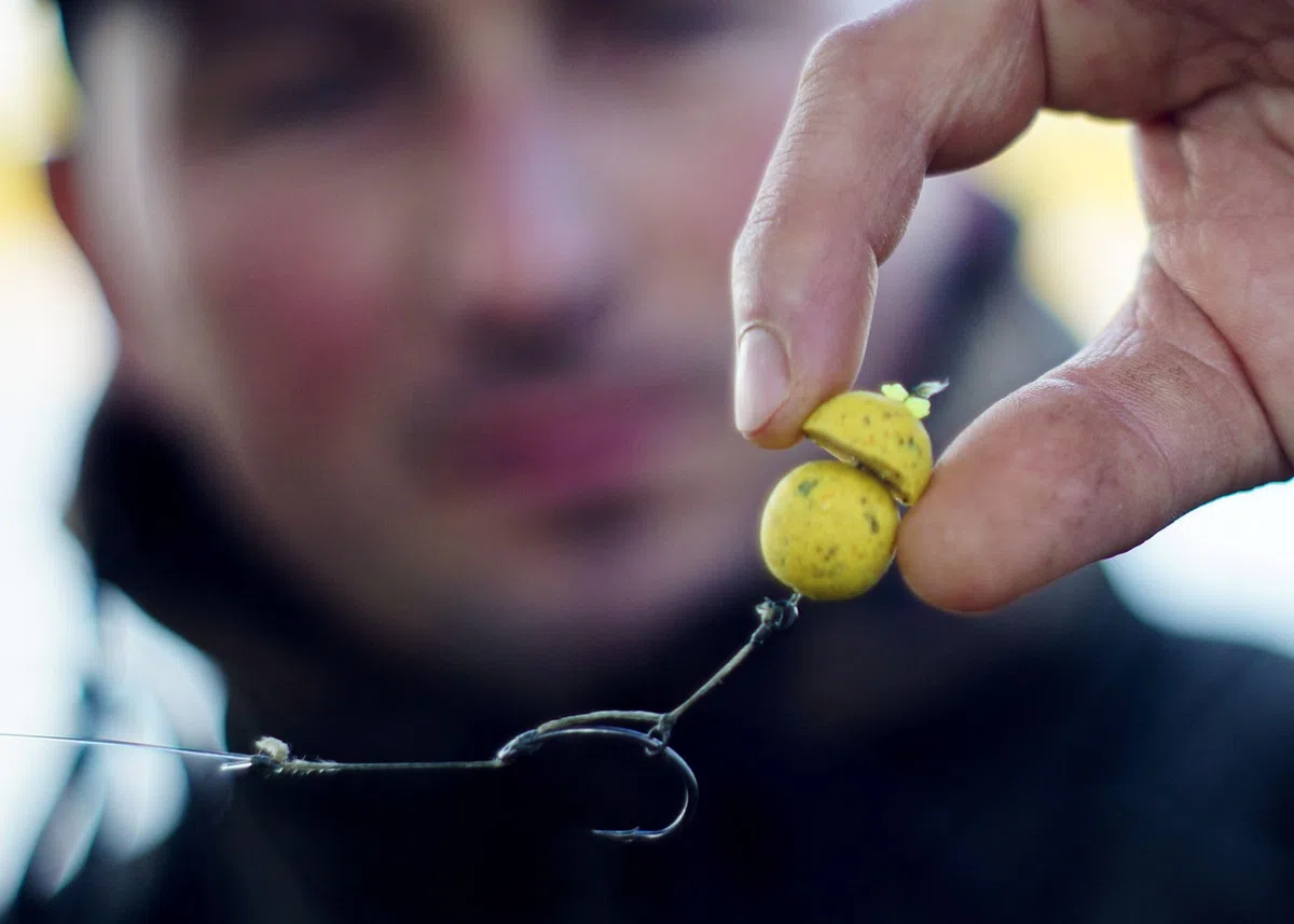 Tandem Baits Set di 22 Carp Hook Baits Fishing Box XXL | Mini Pop Up Boilies 12 mm | Pop Up Boilies 16 mm | Diffusion Booster Attractor | Carpfishing Pesche Pesca Accessori | Alimentatore per la Carpa