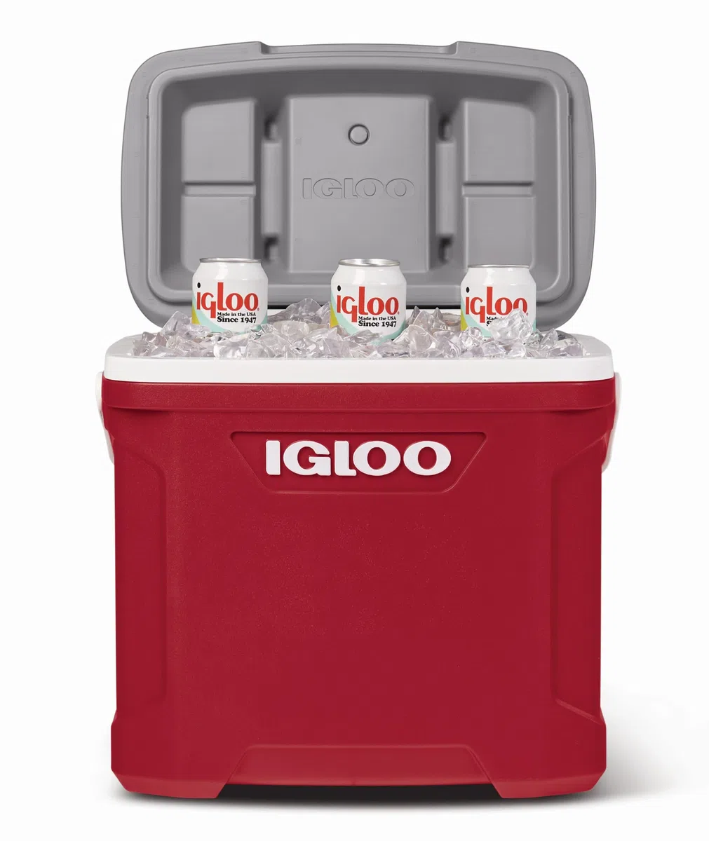Igloo Latitude - Contenitore frigo portatile passivo – Thermobox – mantiene i cubetti di ghiaccio congelati per giorni – Borsa frigo per spiaggia, picnic, parco, campeggio