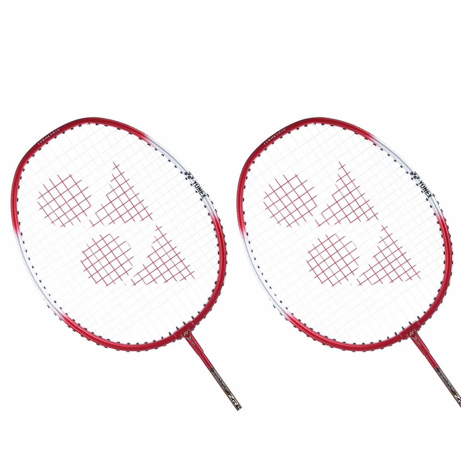 Yonex ZR 100 - Racchetta da badminton leggera in alluminio con copertura completa, set da 2 pezzi, prodotta in India