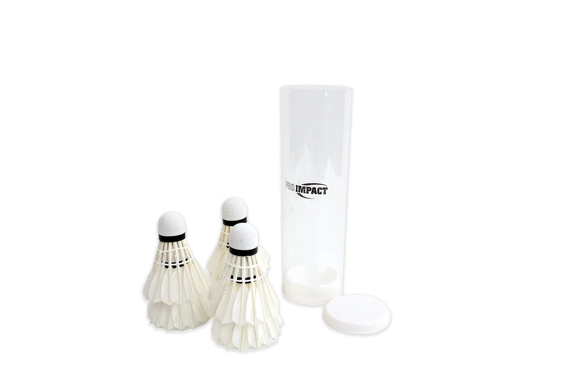 Set da badminton con testa in alluminio e asta in acciaio, include racchette, volani con piume e custodia per il trasporto, giochi all'aperto per bambini, adulti e famiglia (4 racchette, 6