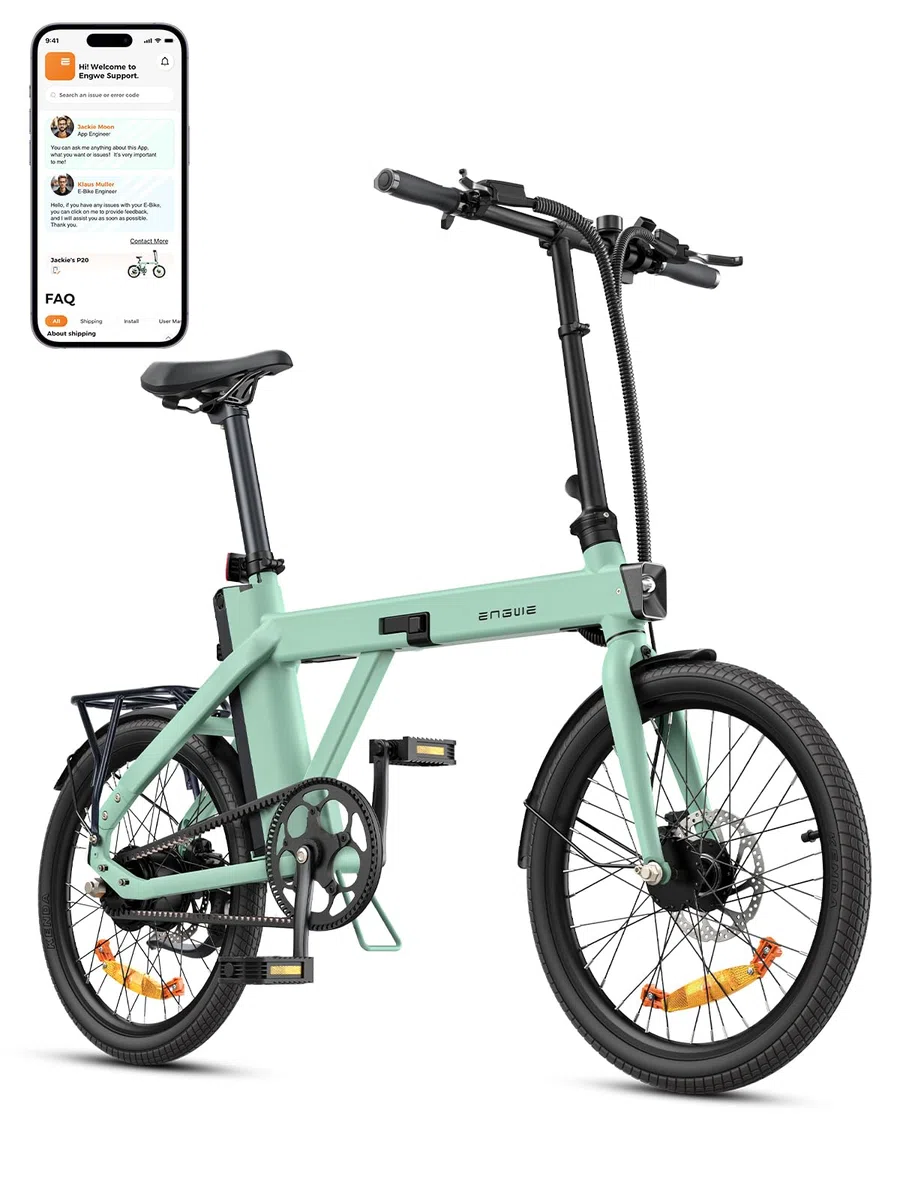 ENGWE P20 Bicicletta Elettrica Pieghevole | Batteria Rimovibile | | 36V 9.6Ah per 100km | Motore 250W | Sensore di Coppia | Freno a Olio | E-bike da 18.5kg | Commuter Urbano Viaggio