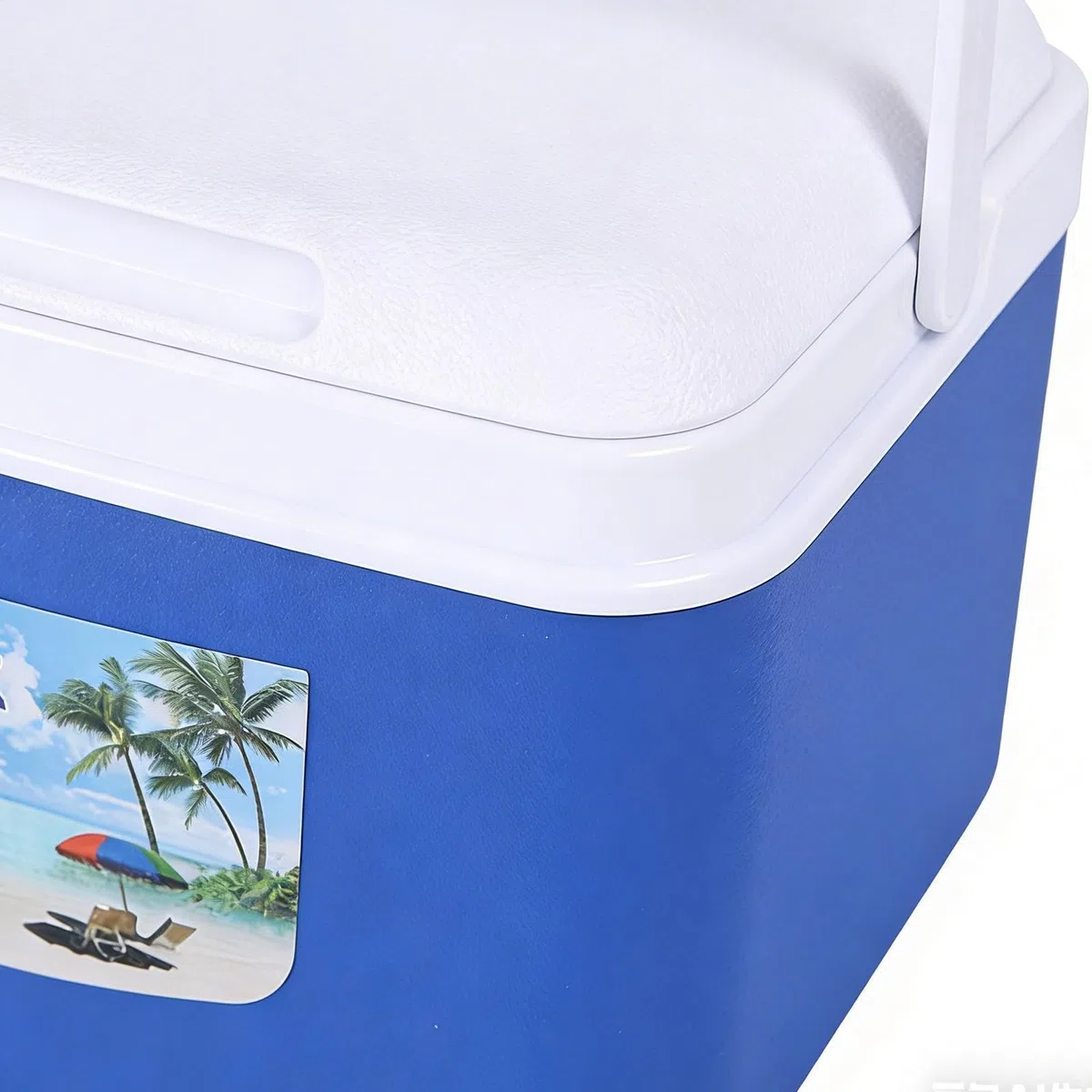 Generico Portabevande Isotermico Isolati Ermetici a Tenuta Stagna | Grande Frigo-da Picnic per Pranzo Cibo Snack Frutta Bevande all'Aperto Viaggi Picnic Pesca Spiaggia Lavoro