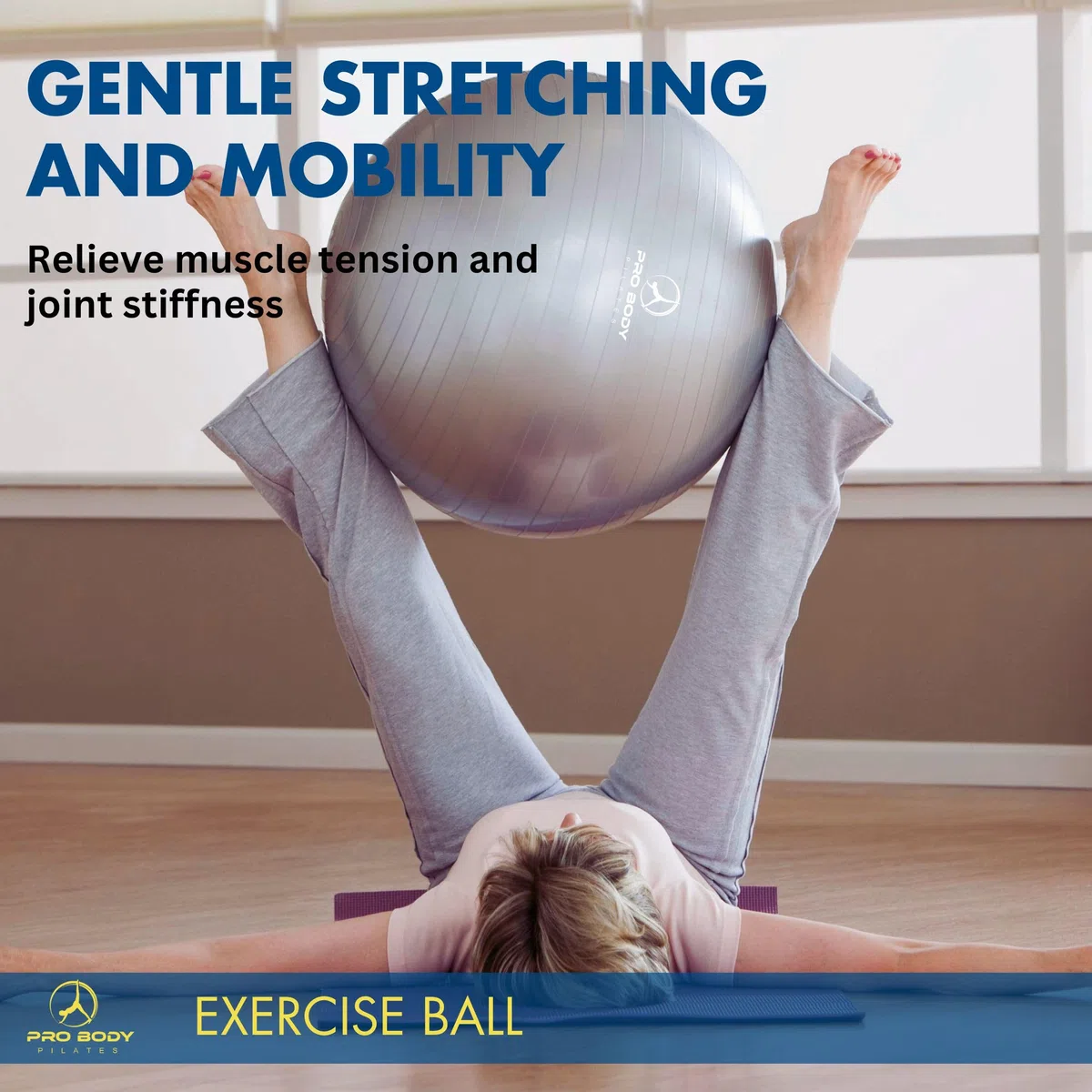 ProBody Pilates Esercizio Palla - Anti-Scoppio Sfera dell'equilibrio di Yoga di Forma Fisica di qualità Professionale 55 cm Viola