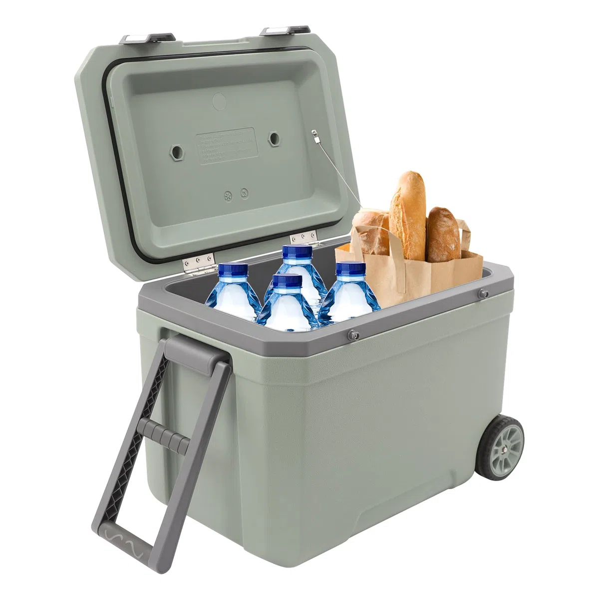 Borsa frigo con ruote, da campeggio, 45 litri, con manico telescopico e 2 ruote, isolamento dal freddo per 24 ore, portabicchieri integrato, per picnic, barbecue, verde