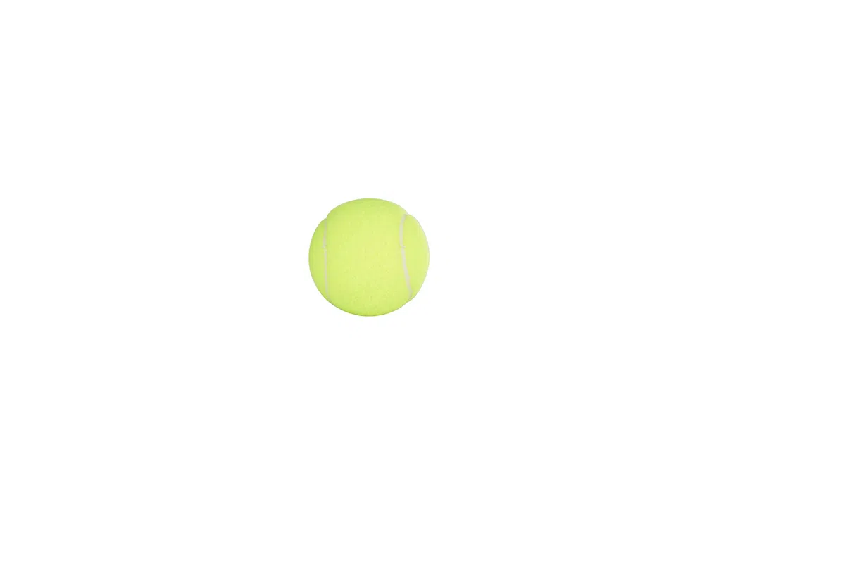 Penn Palline da tennis da campionato, in feltro, per impieghi regolari, pressurizzate