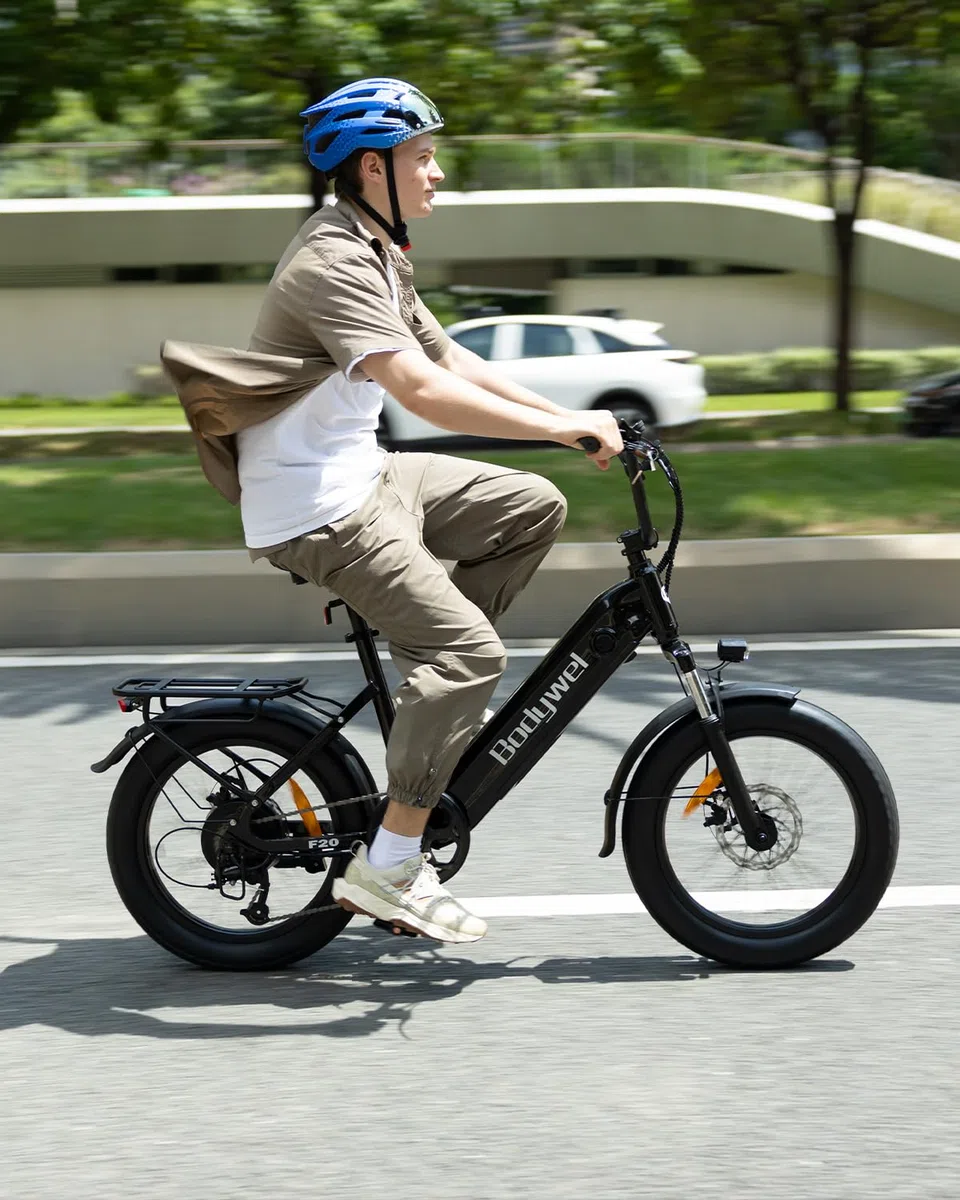 Bodywel F20 E-Bike Adulto 48V 15Ah Batteria 250W Motore 25 km/h, Bici Elettrica Fatbike 20 Pollici per Uomo e Donna, 7 Velocità, Display Smart APP, Freni a Disco 180mm, Portapacchi