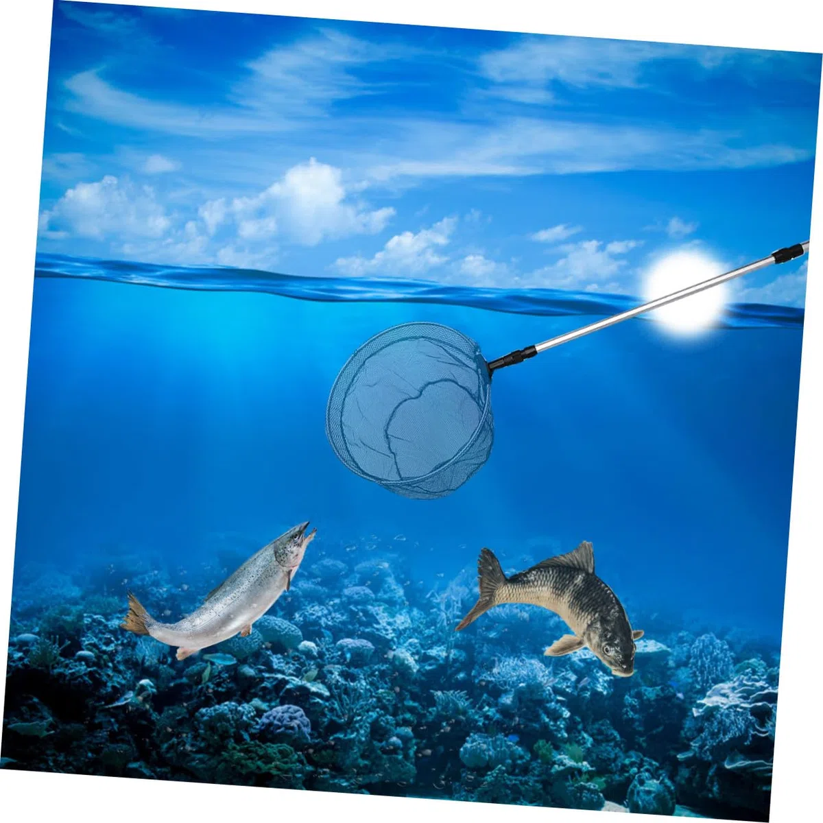 Toddmomy Retino da Pesca Telescopico in Lega di Alluminio Argento, Palo 3 Sezioni, Rete Esagonale per Laghi e Stagni