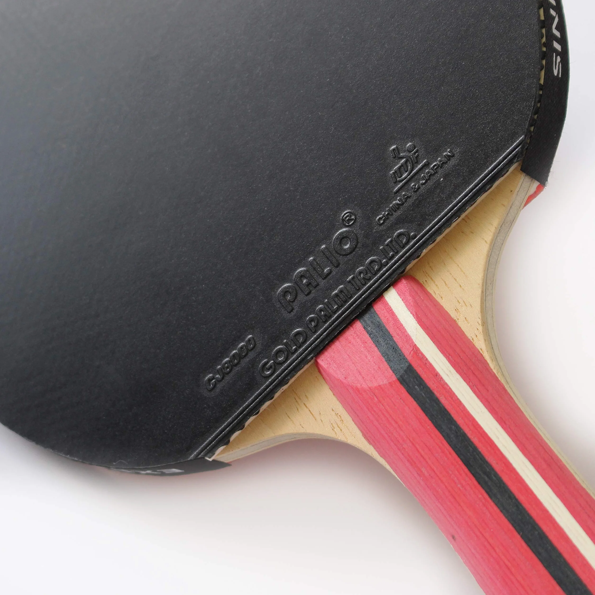 Palio Master 3.0 - Racchetta da ping pong con custodia, approvata dall'ITTF, velocità allround, rotazione e controllo