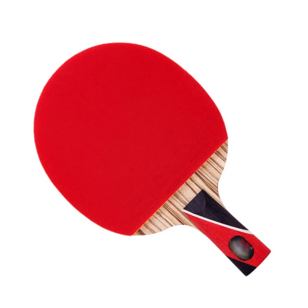 palla da ping pong, Set di racchette da ping pong professionali offensive single shot adatte a principianti, professionisti e dilettanti