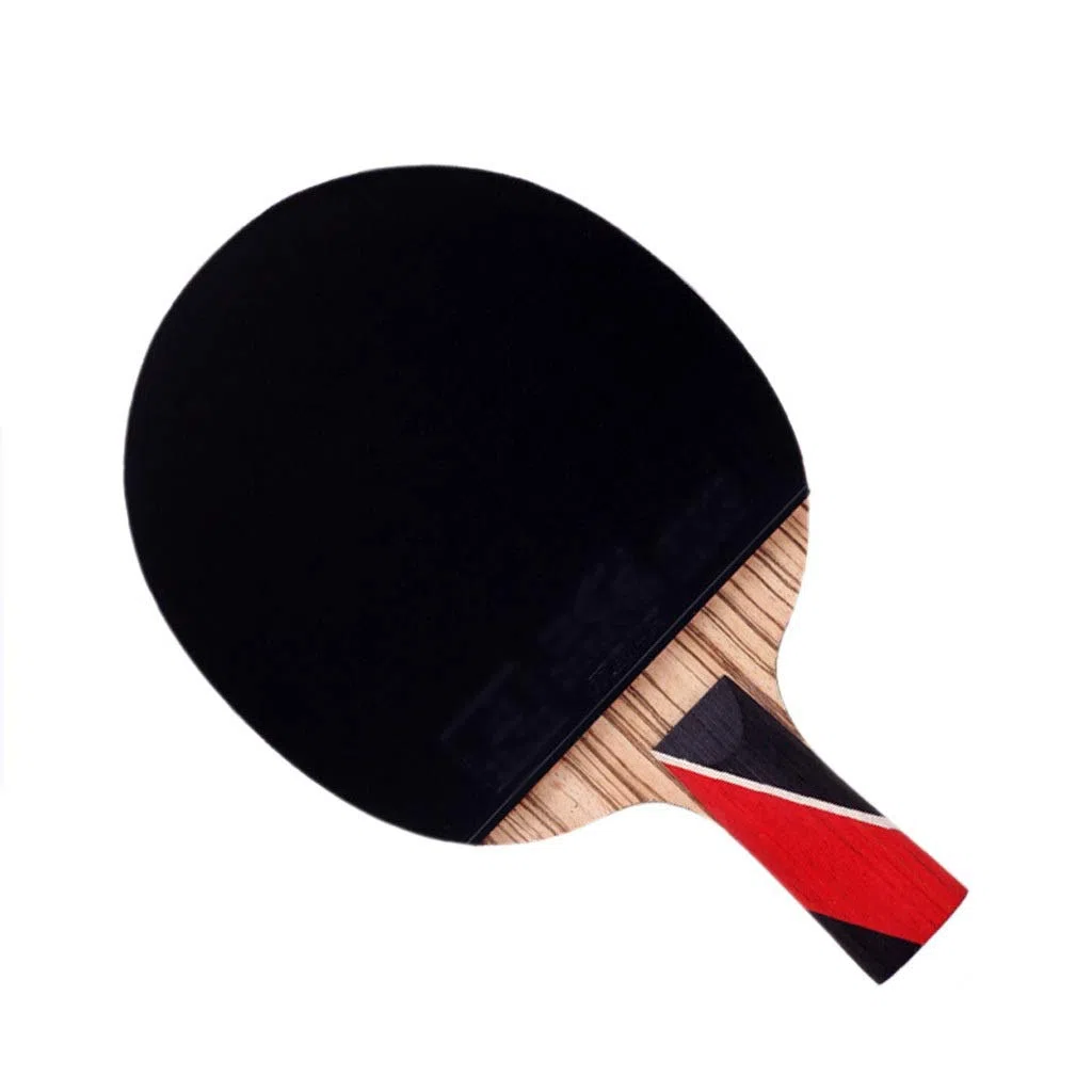 palla da ping pong, Set di racchette da ping pong professionali offensive single shot adatte a principianti, professionisti e dilettanti