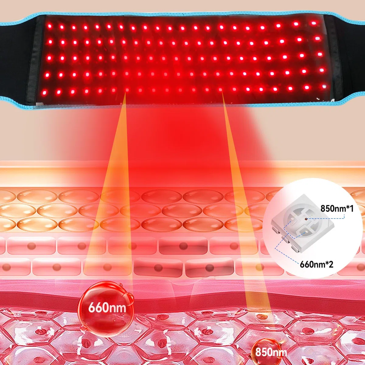 Cintura terapeutica con luce rossa 660 nm luce rossa e cintura avvolgente con luce a infrarossi a 850 nm con impostazioni del timer e occhiali per vita, cosce, braccia, ecc. - Anello muscolare