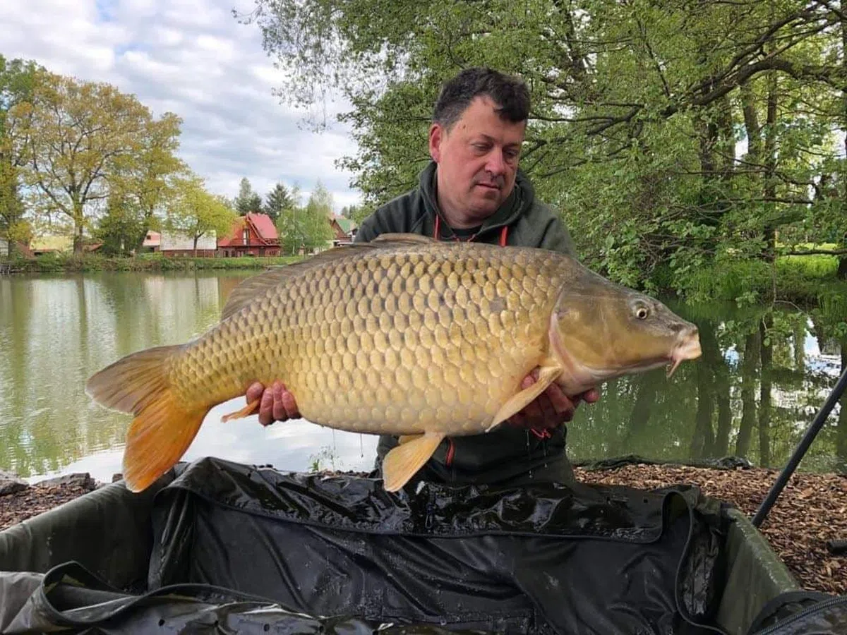 Tandem Baits Winner Set di 10 Weekend Method Feeder Fishing Box Fruit | Soft Pellet 8mm | Micro Pellet 2mm | Diffusion Turbo Dip | Fluo Wafters | Pop Up 8mm | Carpfishing Pesche Pesca Accessori Set Up