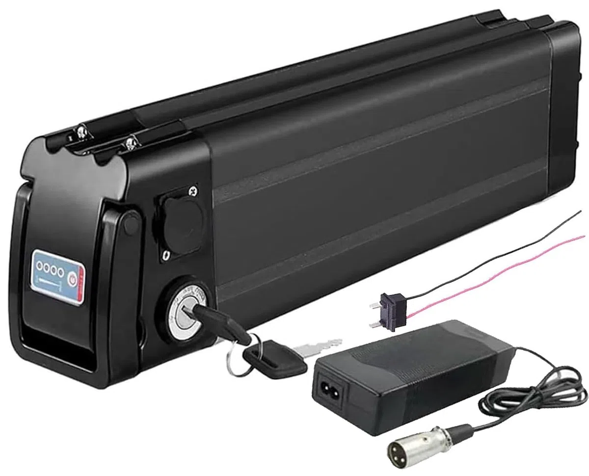 36V 48V 15Ah 20Ah Batteria per Bici elettrica 36V 48V 15Ah 20Ah Ebike Batteria BMS incorporato [Classe di efficienza energetica A] 48V 20AH