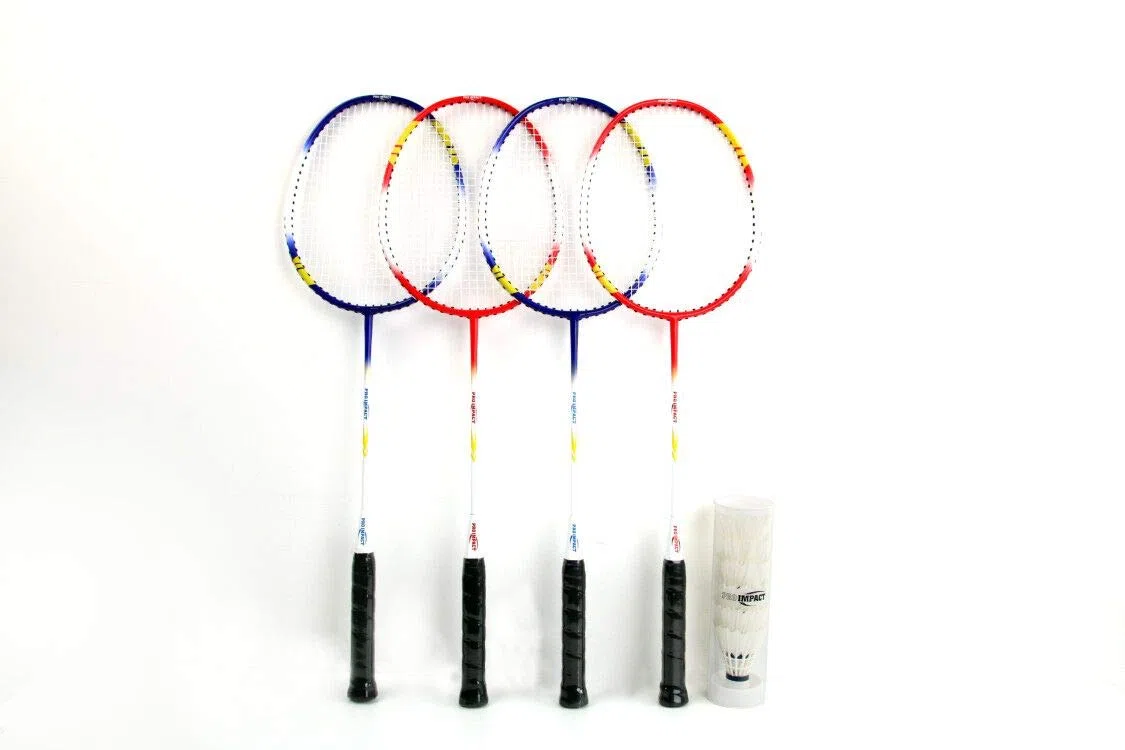 Set da badminton con testa in alluminio e asta in acciaio, include racchette, volani con piume e custodia per il trasporto, giochi all'aperto per bambini, adulti e famiglia (4 racchette, 6