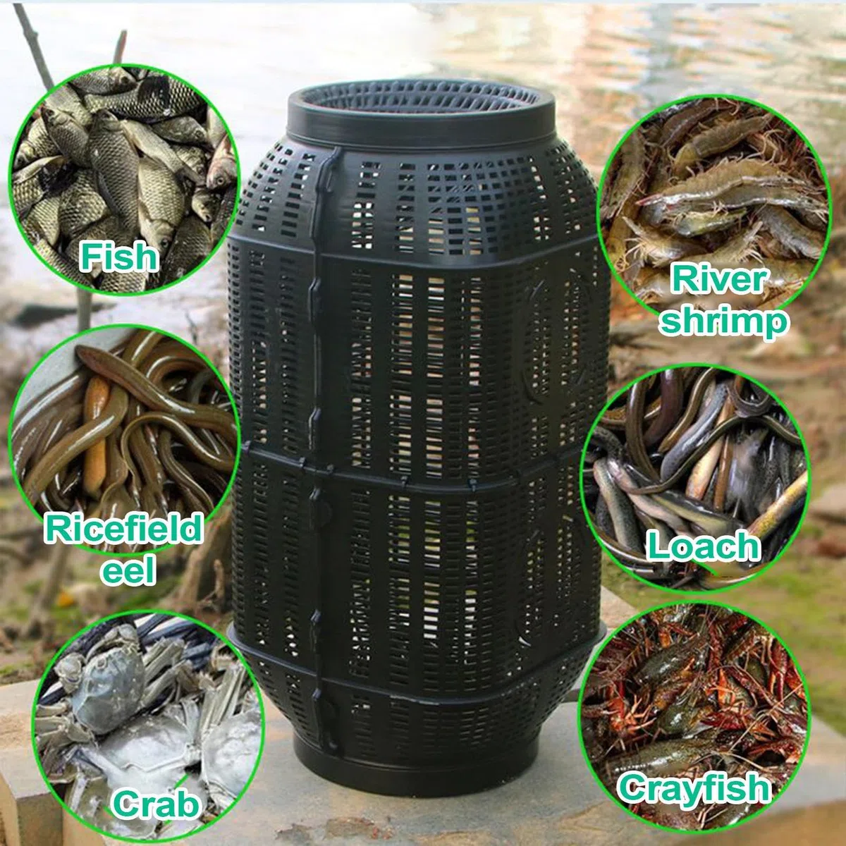 Trappola per pesci, trappola portatile per aragoste, gabbia per granchi, accessori da pesca per la cattura di anguille, gamberetti, tartarughe, lago, stagno, acqua salata, acqua dolce