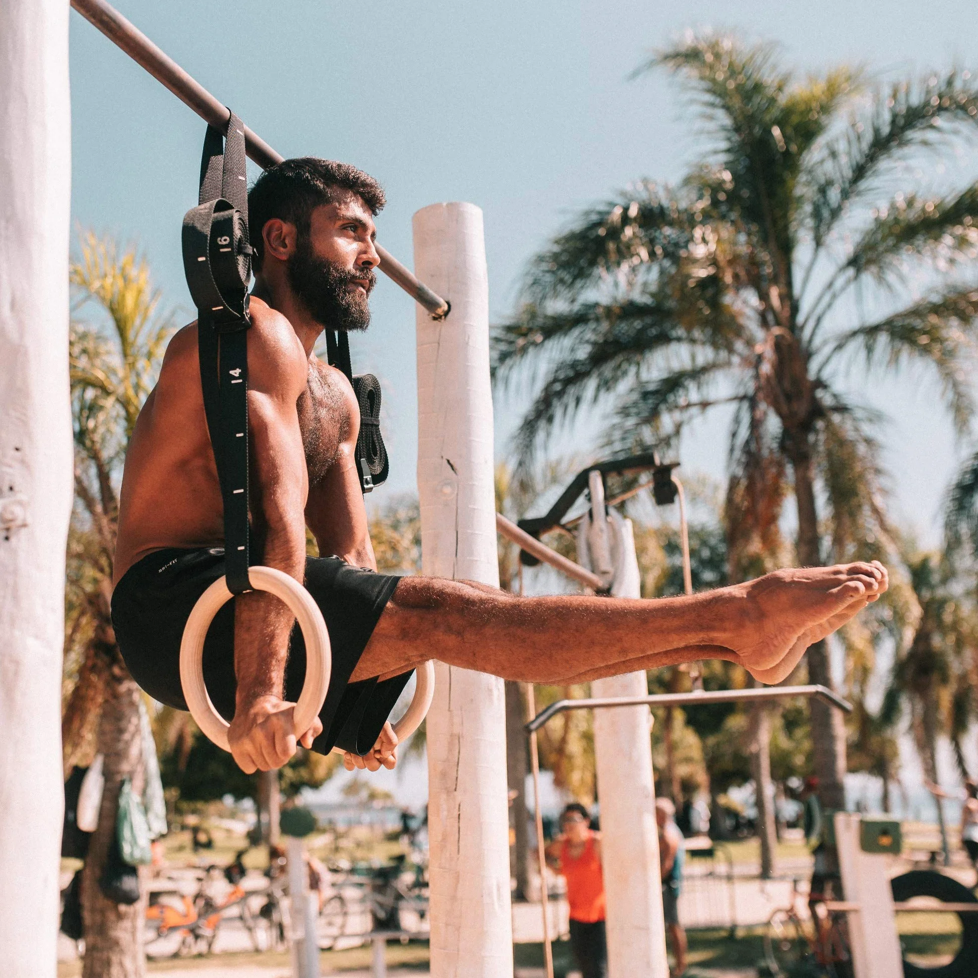 PULLUP & DIP Anelli da Gimnastica in Legno, Fitness Anelli Fitness Palestra per Calisthenics e Atletica, Gym Rings con Ampie Cinghie con Segni + Borsa Trasporto + Guida Allenamenti