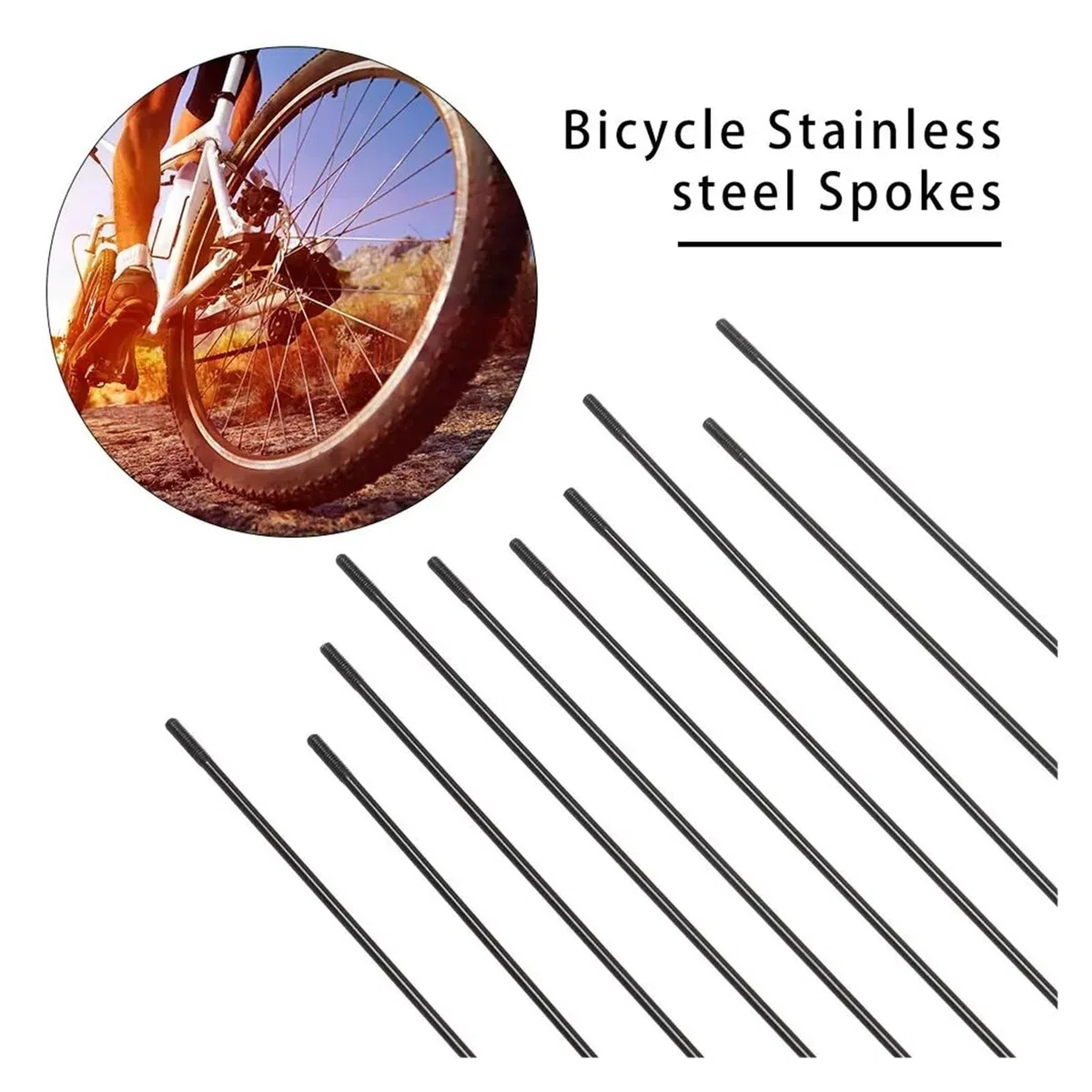 10 pezzi 14G per raggi di bicicletta con nippli in acciaio inox ad alta resistenza per mountain bike bici da strada all'aperto sostituzione 273-305 mm (274 mm)