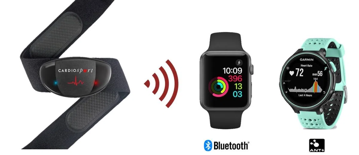 CardioSport TP5 cardiofrequenzimetro, Bluetooth/ANT +