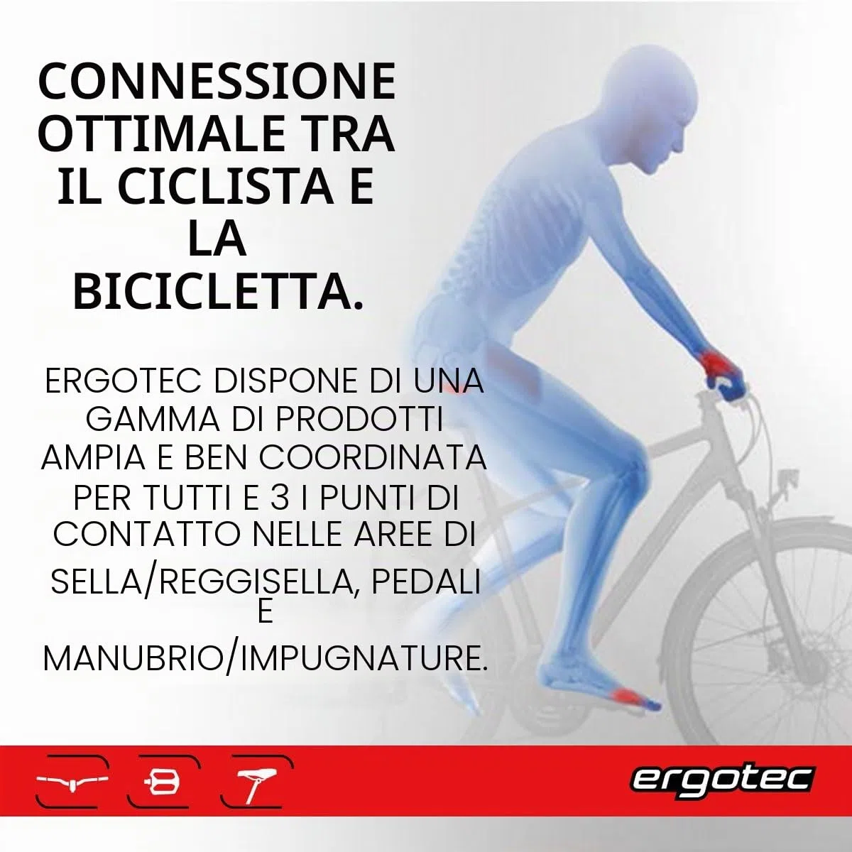MANILLAR ERGOTEC RISER ALU 780mm 31.8 ALT.70mm 12º