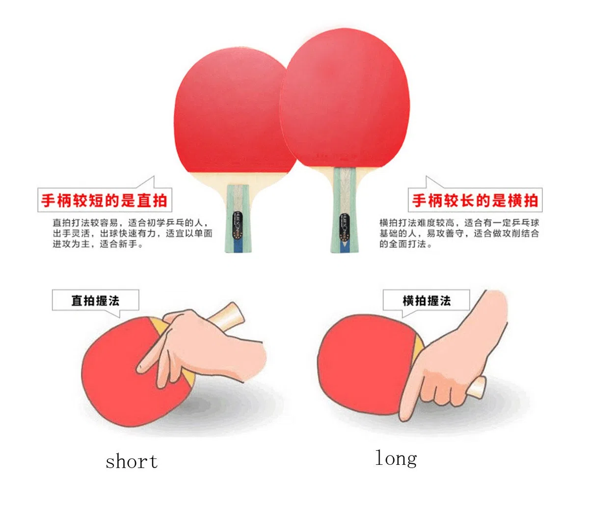Racchetta per ping-pong professionale, long