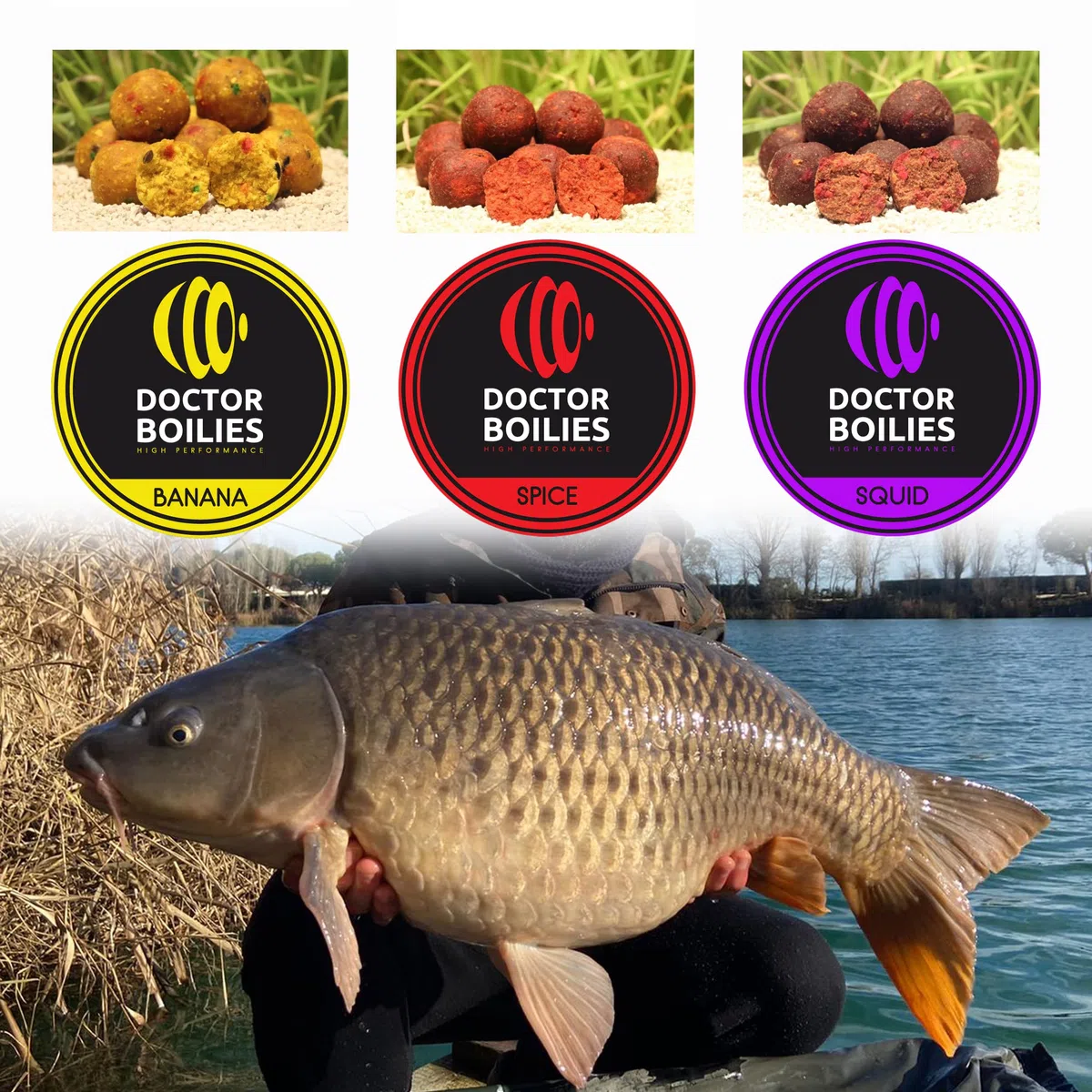 Doctor Boilies Boiles Carpfishing da Innesco accessori Pesca Carpfishing diametro 20 mm Rollate artigianalmente