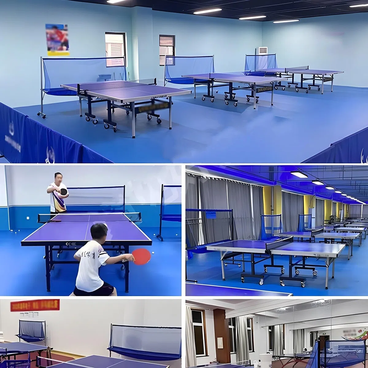 Rete di cattura per palline da ping pong per esercitazioni multi-palla, design a rotolamento per una facile conservazione, adatta a tavoli standard