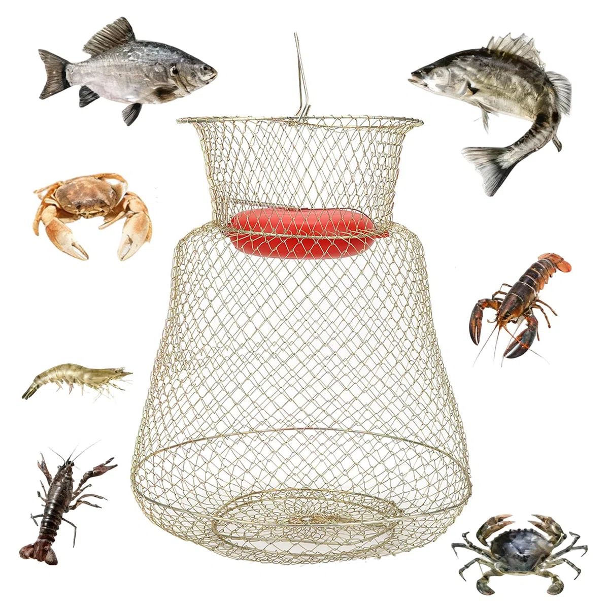 1 pezzo Rete da Pesca con Trappola per Granchi, Gabbia per Pesca Pieghevo Portatile Rotondo in Acciaio, Letrappola per Granchi, Maniglia Robusto Trappola per la Pesca Gabbia per Reti da Pesca(33 cm)