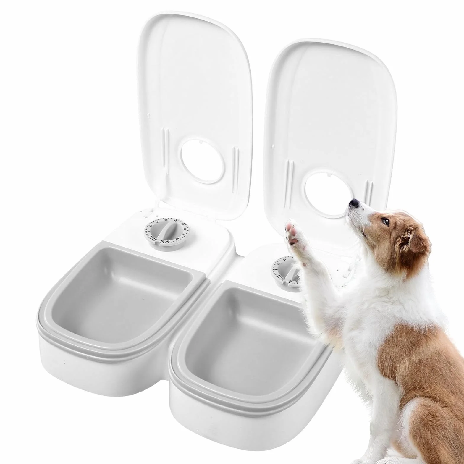 Ciotole per animali domestici, Distributore automatico di cibo for gatti - Contenitore for for cani for e, secco umido