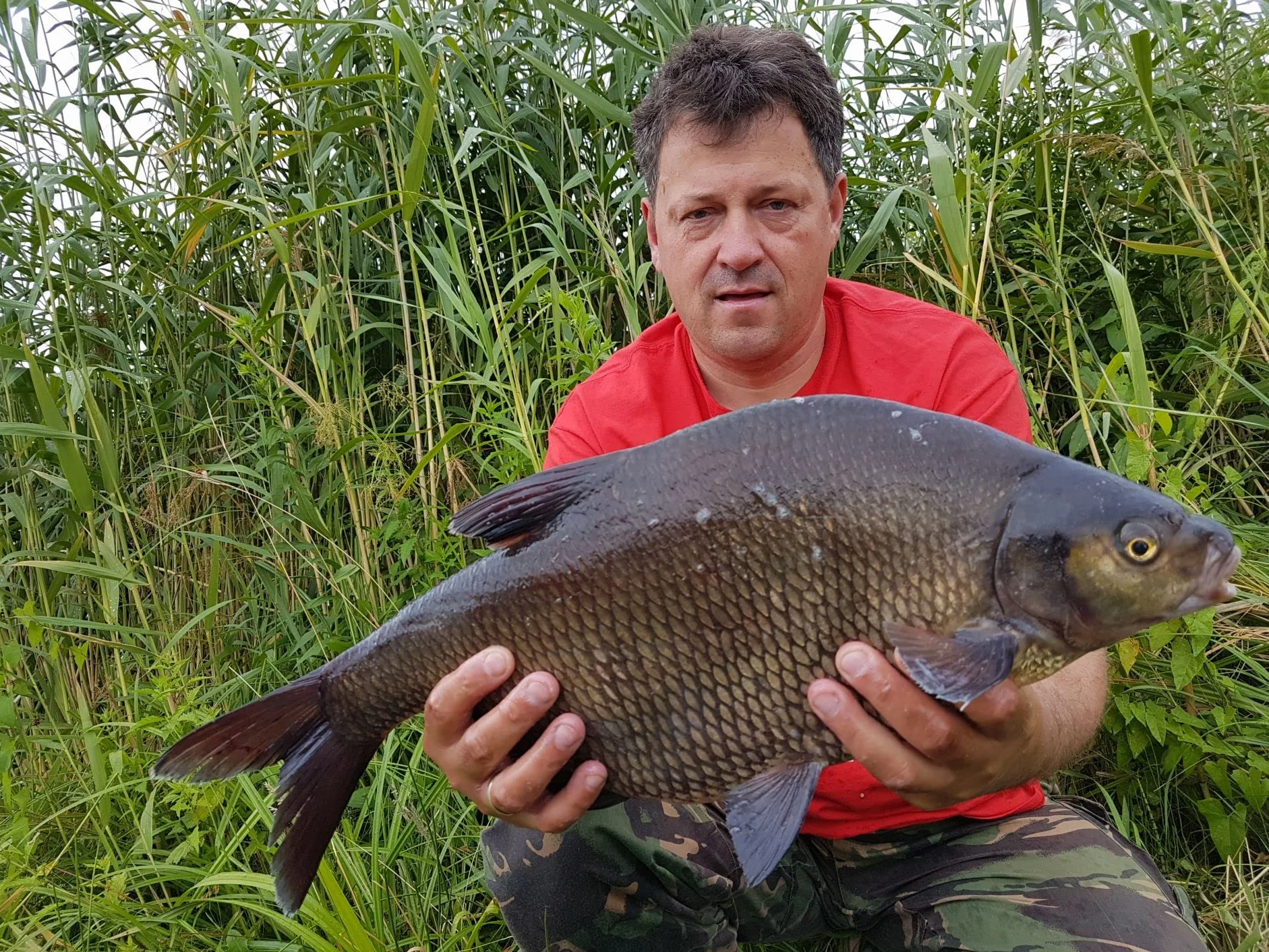 Tandem Baits Winner Set di 10 Weekend Method Feeder Fishing Box Fruit | Soft Pellet 8mm | Micro Pellet 2mm | Diffusion Turbo Dip | Fluo Wafters | Pop Up 8mm | Carpfishing Pesche Pesca Accessori Set Up