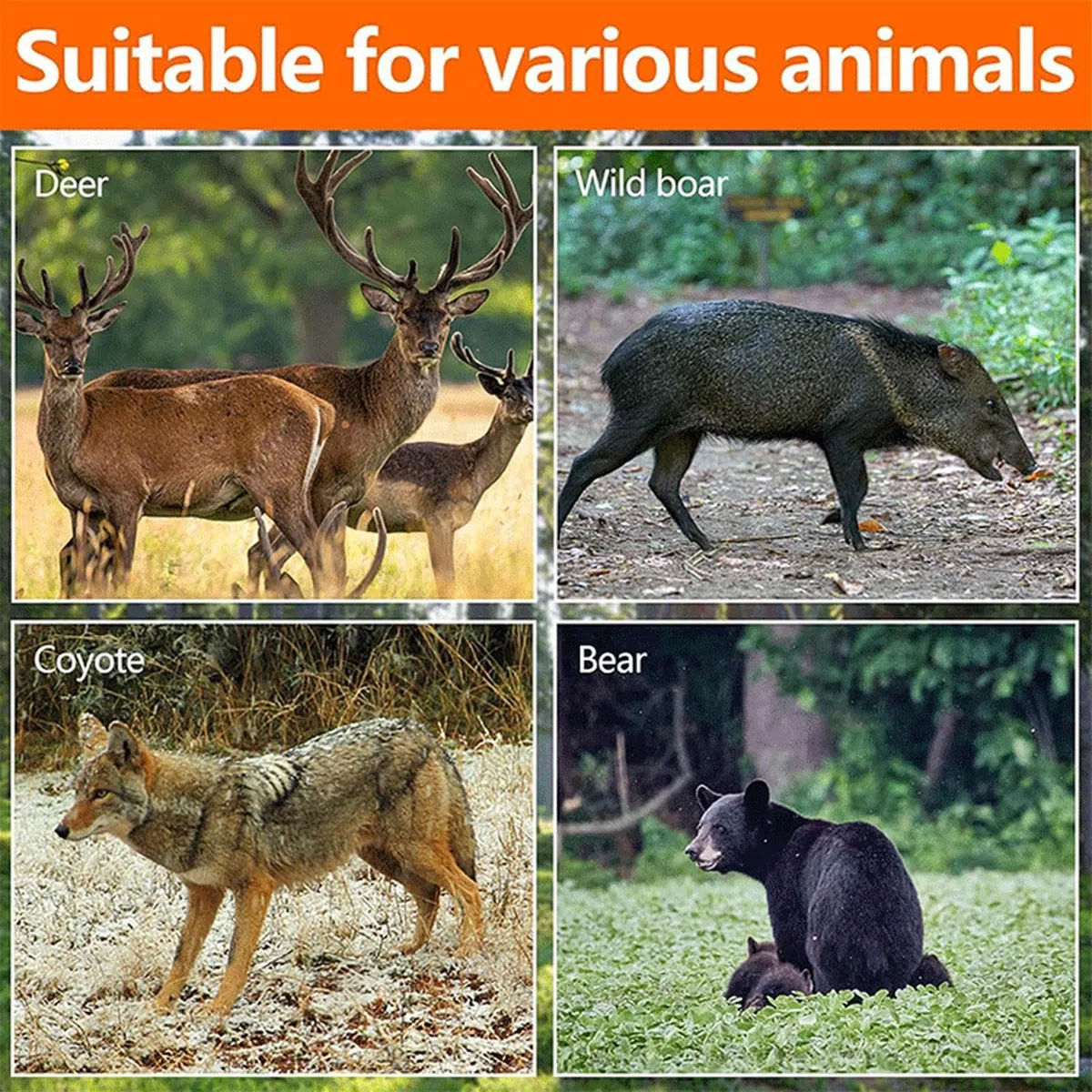 Slitta da traino per cervi | Robusta slitta per il trasporto di cervi | Slitta da traino per cervi | Trasportatore di selvaggina ispessito con stoviglie e corde – Accessorio per la caccia e la pesca
