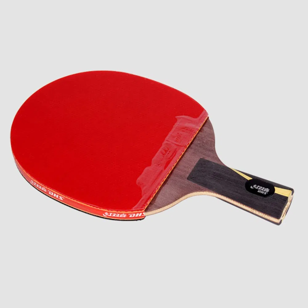 Mazza da ping pong professionale, racchetta competizione con custodia/marrone/manico lungo(Grey,Long Handle)