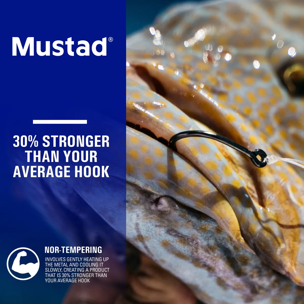 Mustad Demon Perfect Circle Hooks, in linea