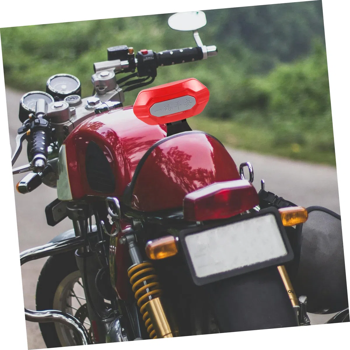 Cuscino Schienale per Bicicletta Elettrica e Moto, Rosso | Metallo e Plastica, 1 Pezzo, Stabile, Texture Robusta per Uso Posteriore