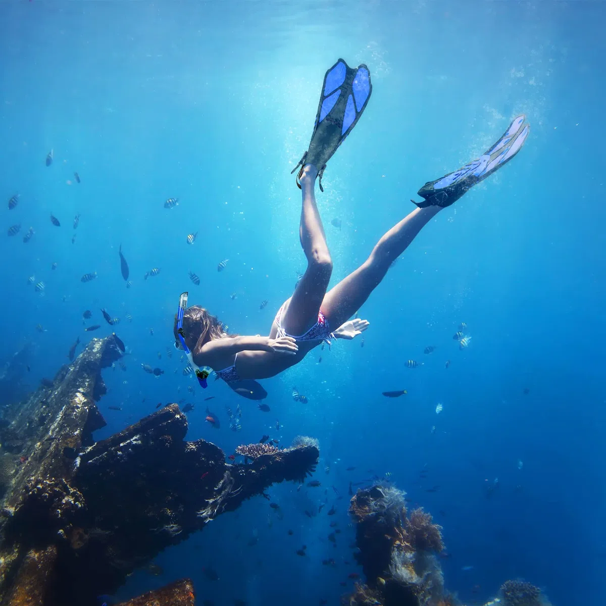 ZEEPORTE Set con maschera e boccaglio per adulti, con vista panoramica, pinna Trek, Dry Top Snorkel + borse da viaggio, boccaglio per nuoto