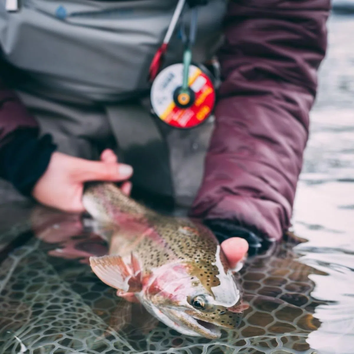 Rio Cancello per pesca a mosca con 2 x ~ 6X-PowerfleX-Tippet attrezzatura da pesca, trasparente