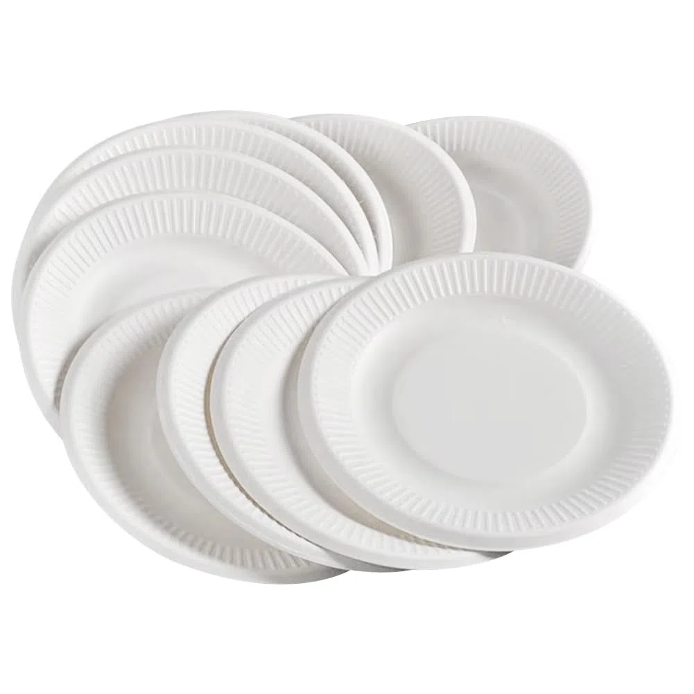 50 Pezzi Piatti di Carta USA e Getta, stoviglie di Carta Rotonde Bianche per Feste, Picnic, Barbecue, Dessert